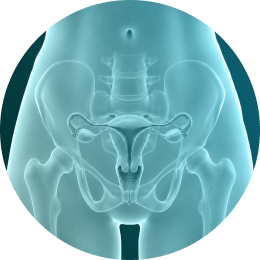 Cirurgia pélvica avançada Imagem Cirurgia pélvica avançada